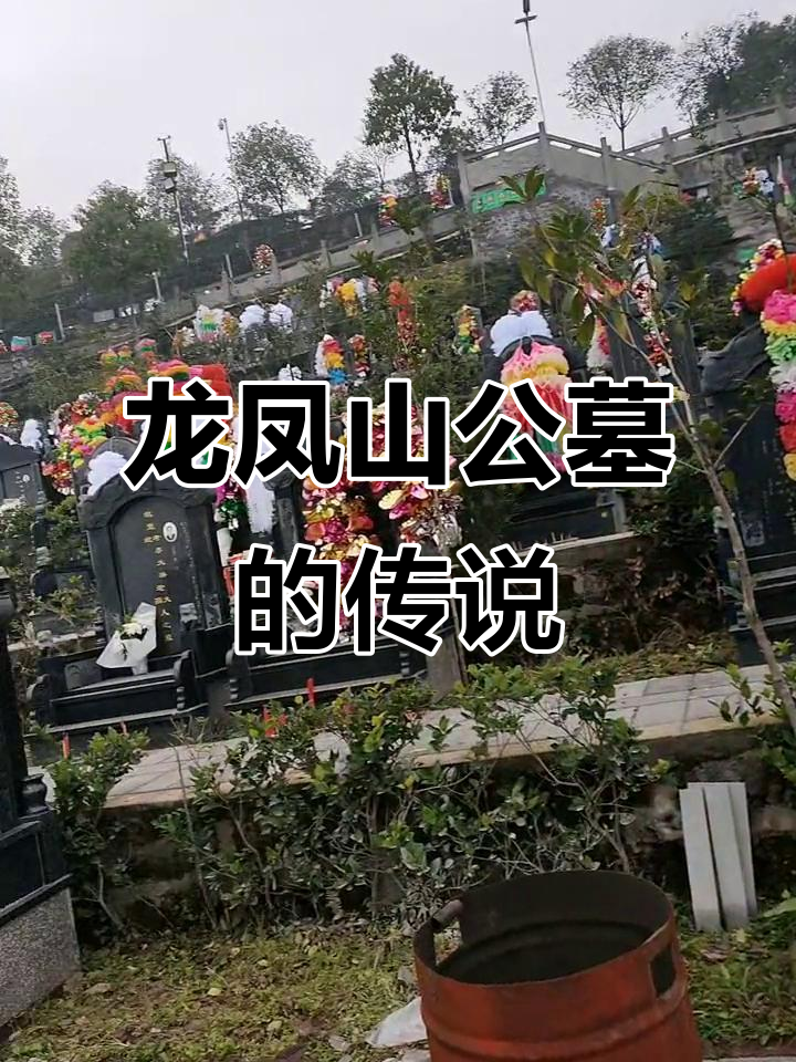 传承龙凤山公墓,小地方的故事