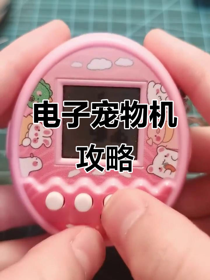 宠物机玩法全解析,有问题随时问我!