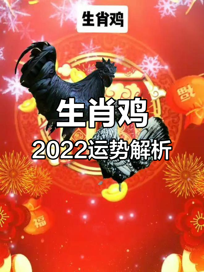 生肖属鸡的人虎年运势(生肖属鸡的人虎年运势如何)