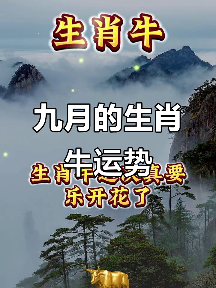 生肖牛5月运势已婚(属牛五月运程)