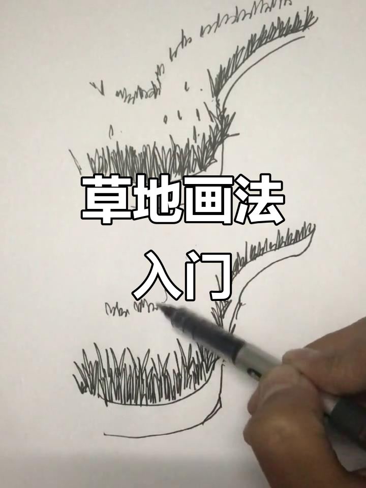 草坪钢笔画技巧:从简单到复杂,轻松掌握风景速写