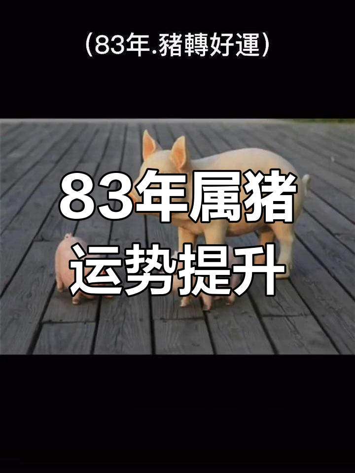 八一年生肖属猪的运势(属猪2021年运势及运程1981)