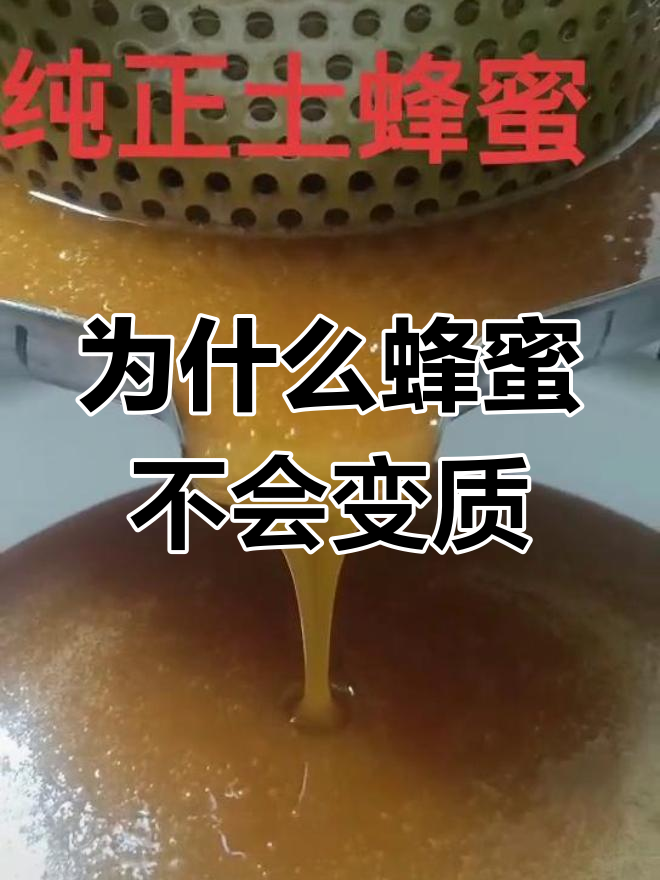蜂蜜怎么保存不变质(蜂蜜怎样保存才最好百度百科)