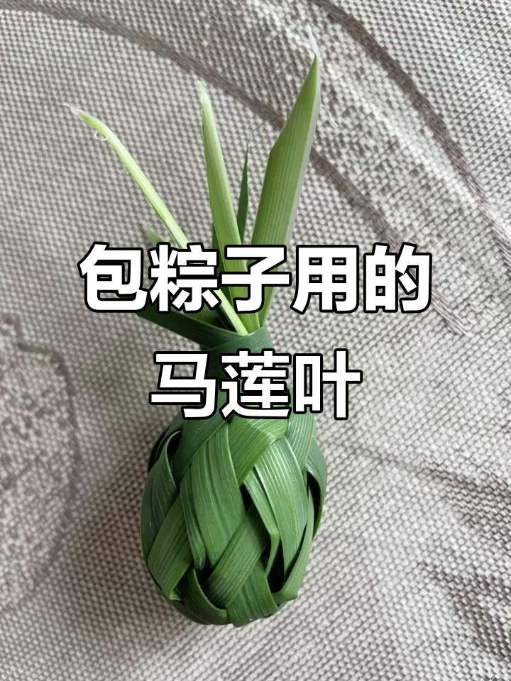 用马莲叶子编小菠萝,简单又有趣!
