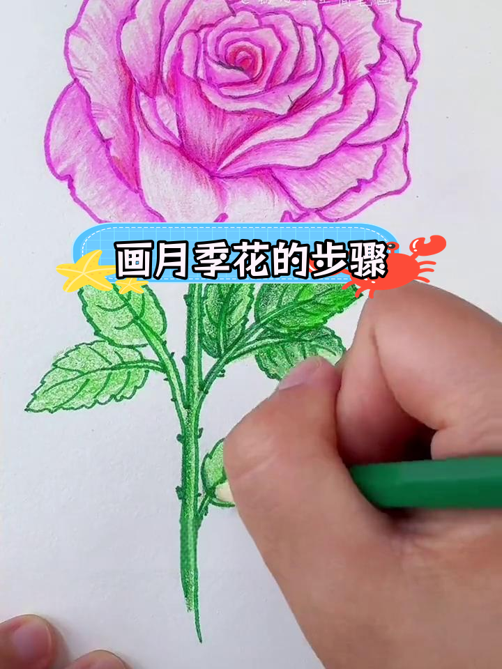 月季花简笔画教程,轻松学会