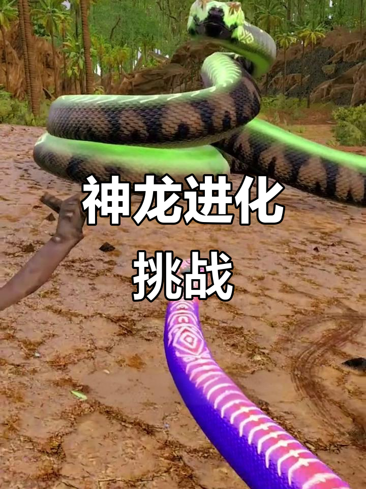 从零级到一千级,神龙进化挑战苍龙霸王龙