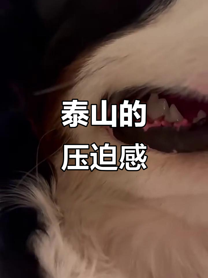 泰山压顶,空间不够?别跑!