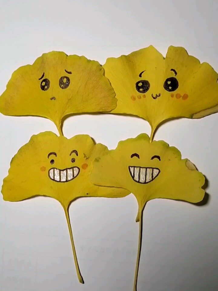 树叶表情包简笔画