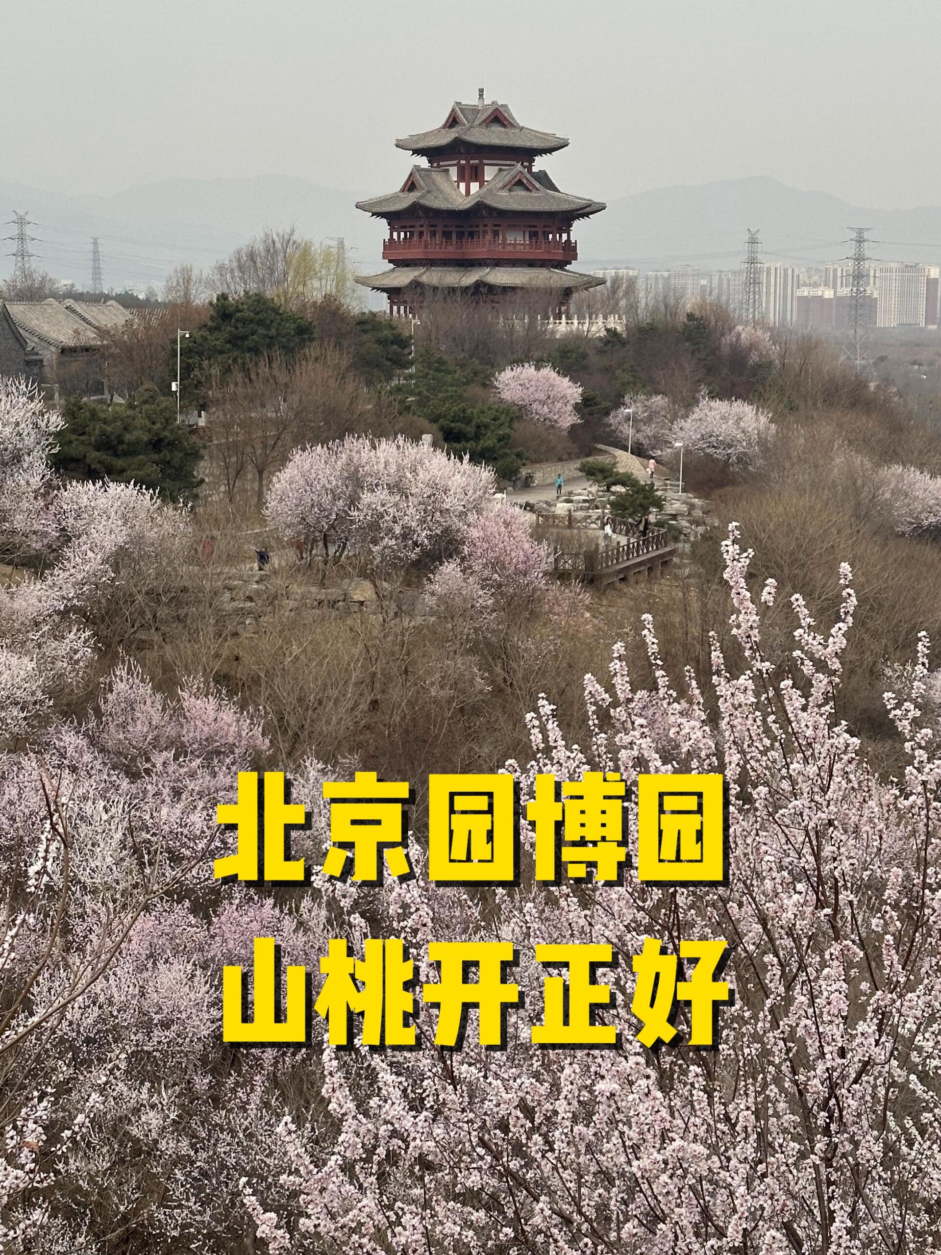 没有滤镜的北京园博园这周末去正好