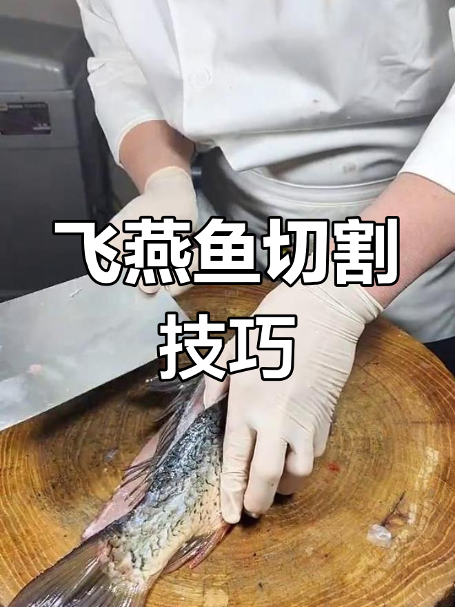 飞燕鱼切法大揭秘,大师们请指教!