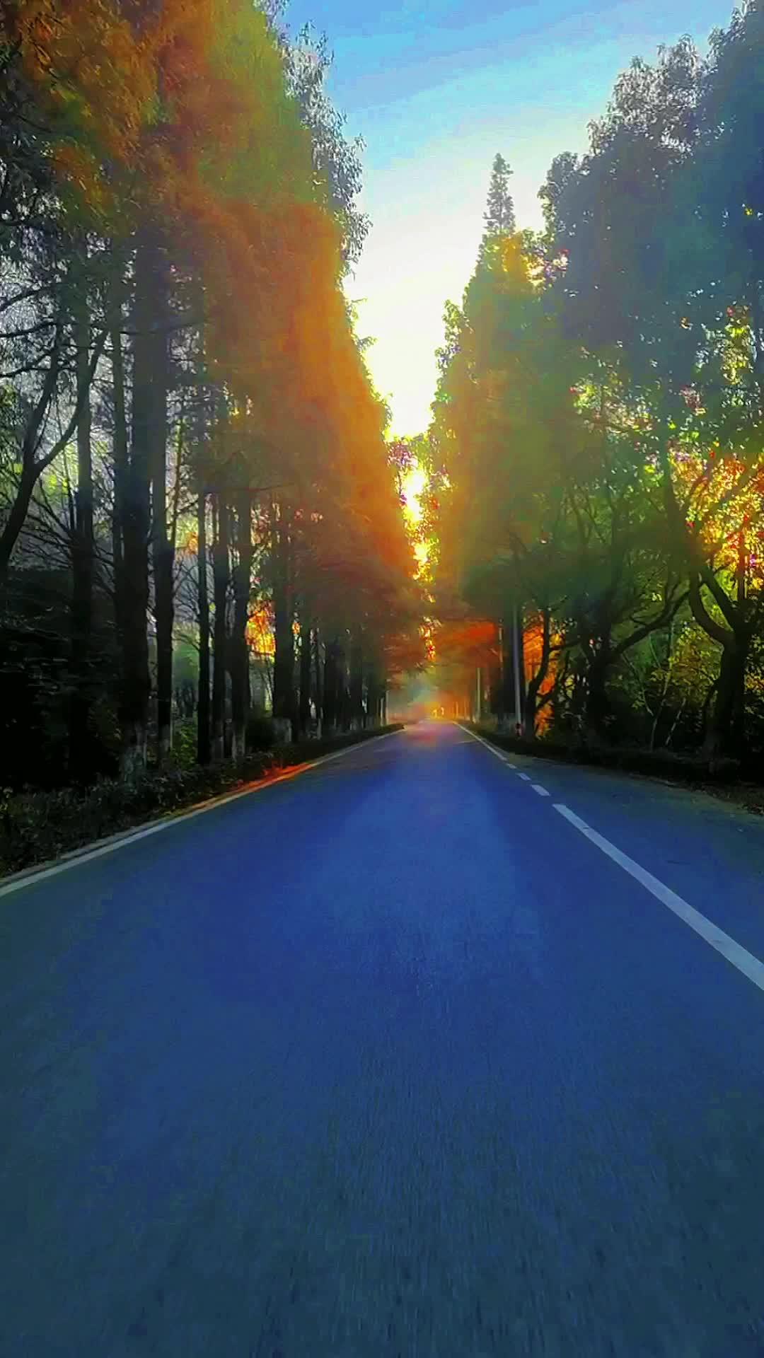 快乐的经历风雨,笑对人生——曼德拉 清晨第一缕阳光 秋天