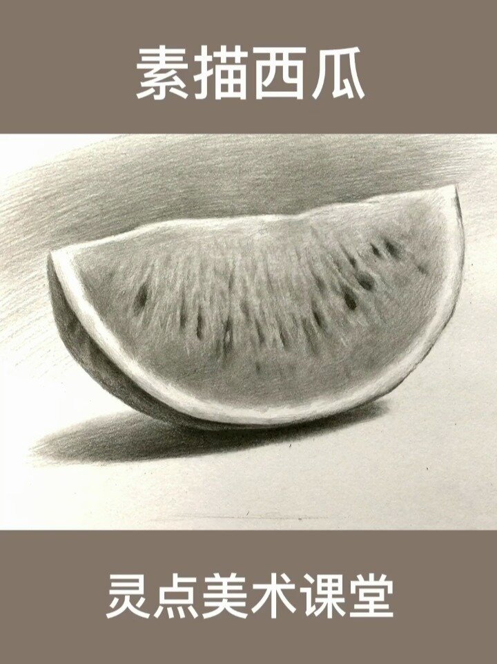 西瓜素描画 静物图片