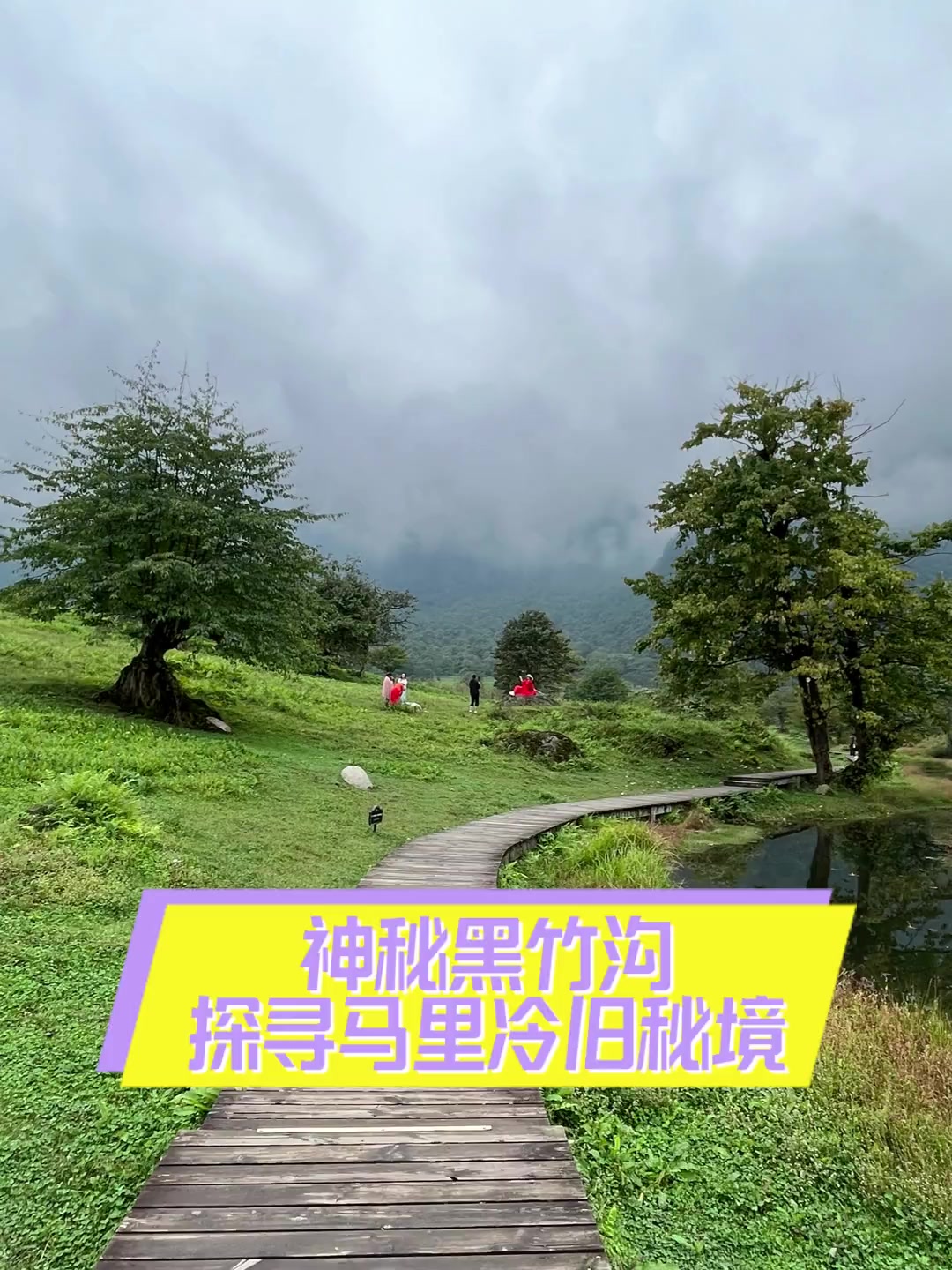 神秘黑竹沟探寻马里冷旧秘境