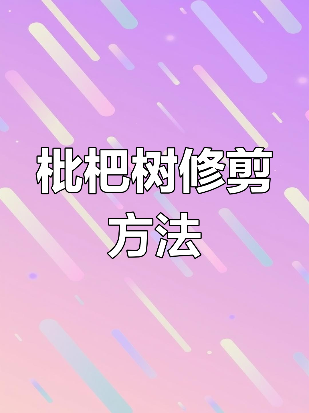 枇杷树修剪技巧:如何回缩树冠
