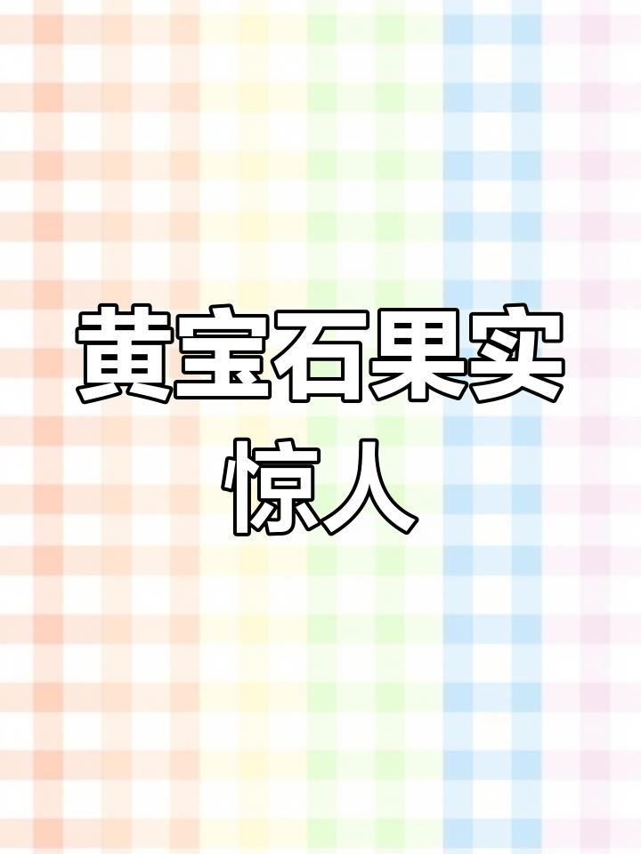 马来西亚黄宝石,6个月结果,一颗堪比整鸡的珍稀水果!