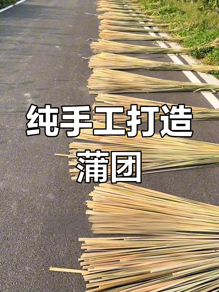 天然蒲草晾晒过程揭秘,如何编织成蒲团
