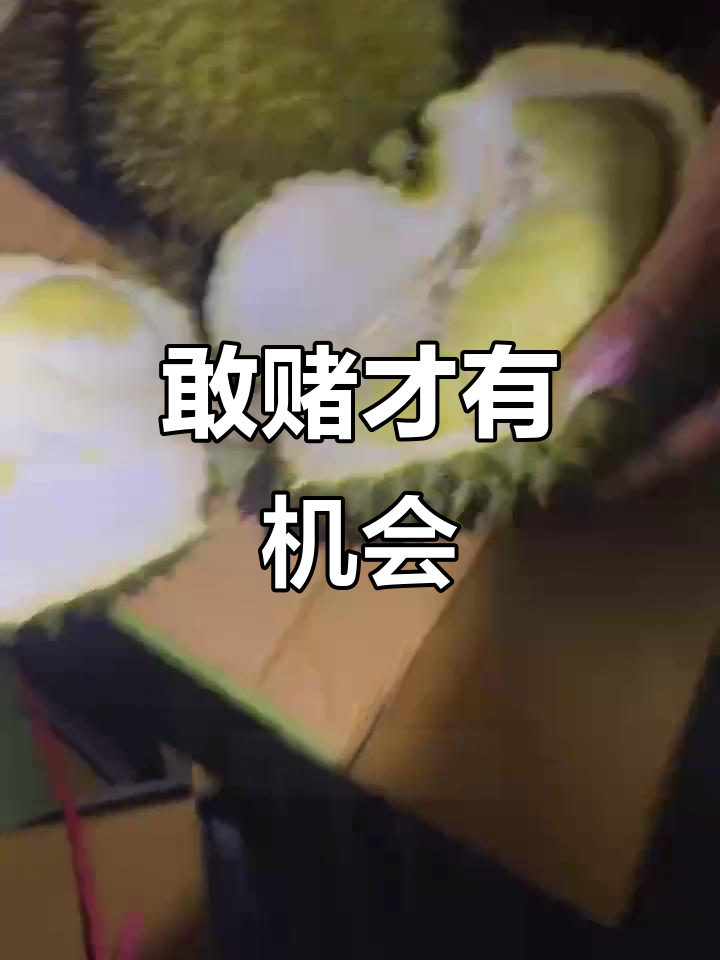 年轻人赌一赌,赢的可能是路虎或电瓶