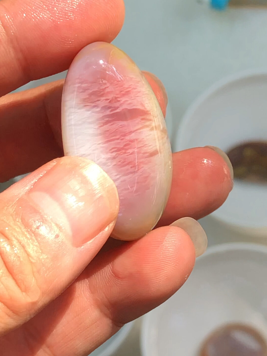 雨花石"蛋白石"惊现"海螺珠"?