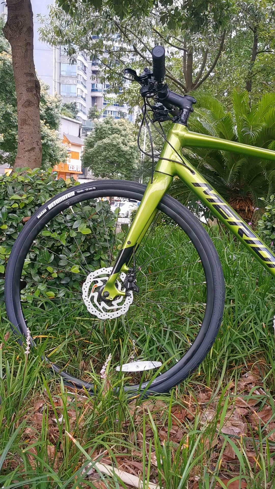 美利达新款speeder500高颜值自行车