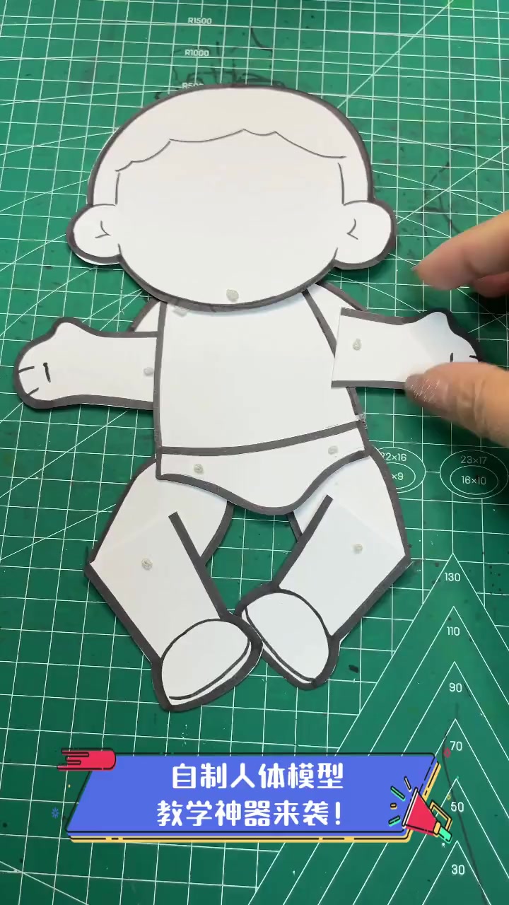 自制人体模型,教学神器来袭!