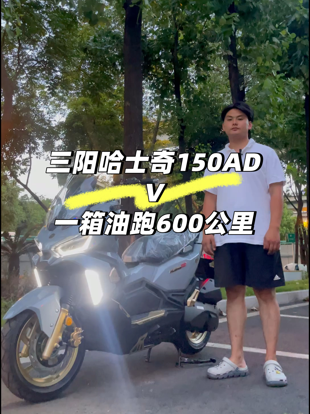 三阳哈士奇