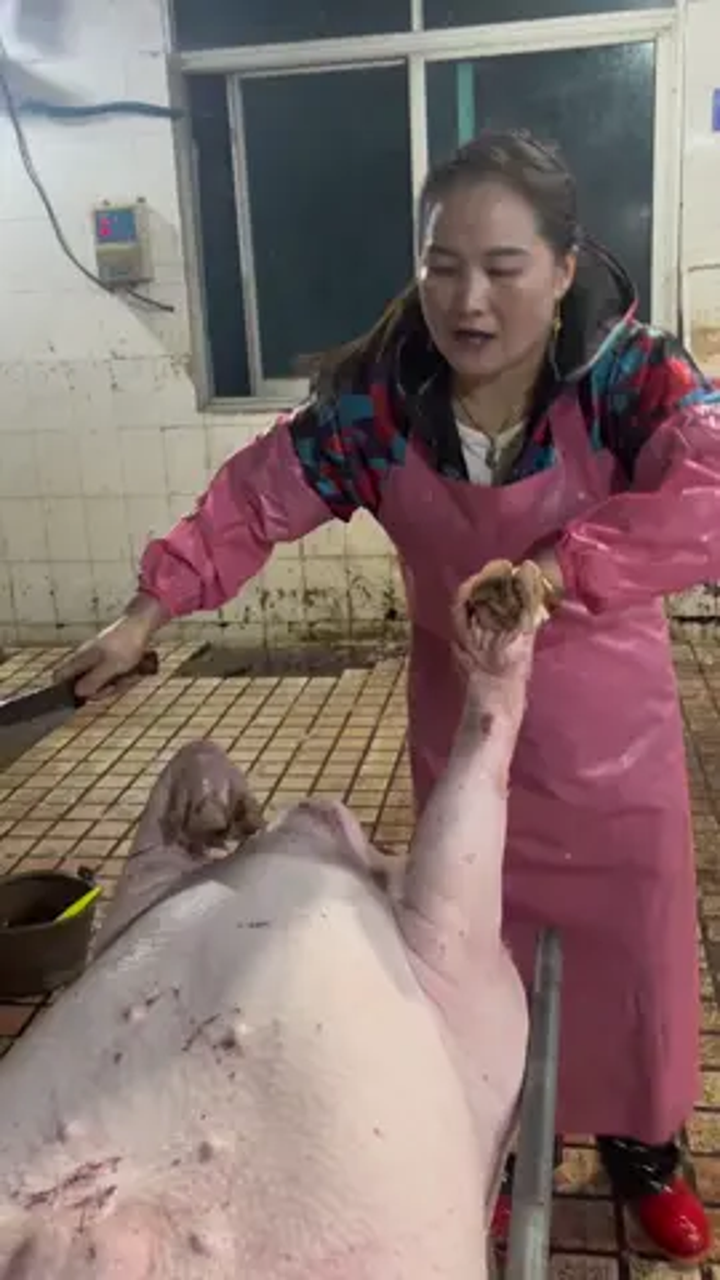 现实杀猪,你们看过吗?