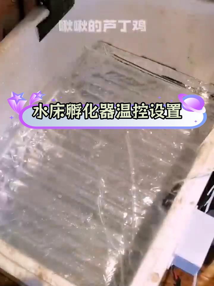 自制孵化箱的制作方法图片