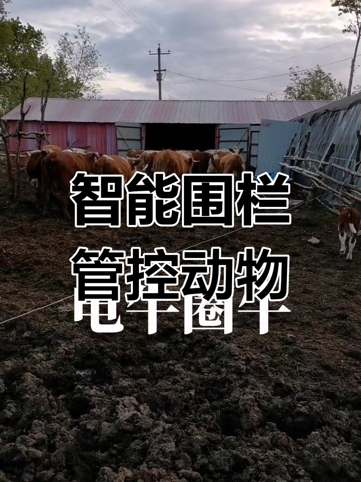 智能电子围栏助力牛羊马猪管控,安全又高效