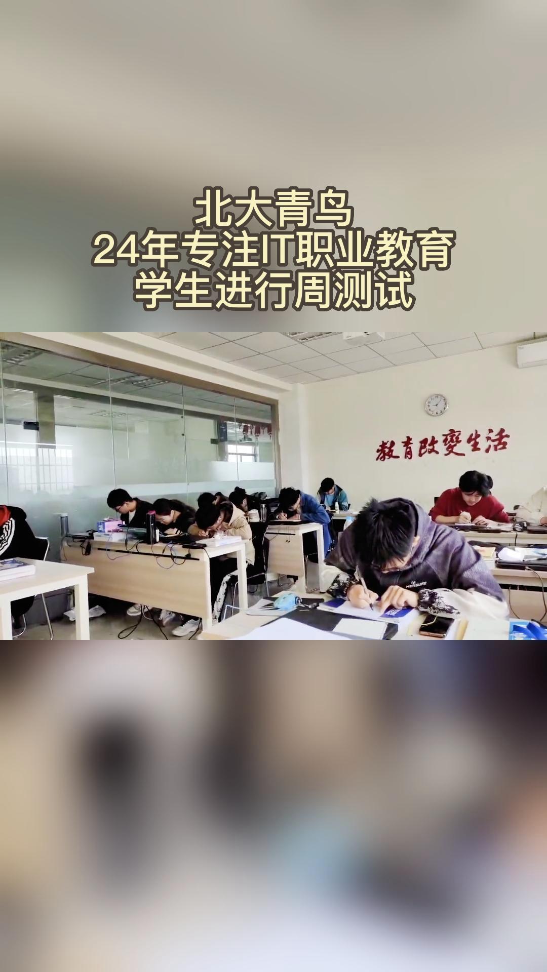 北大青鸟学生图片