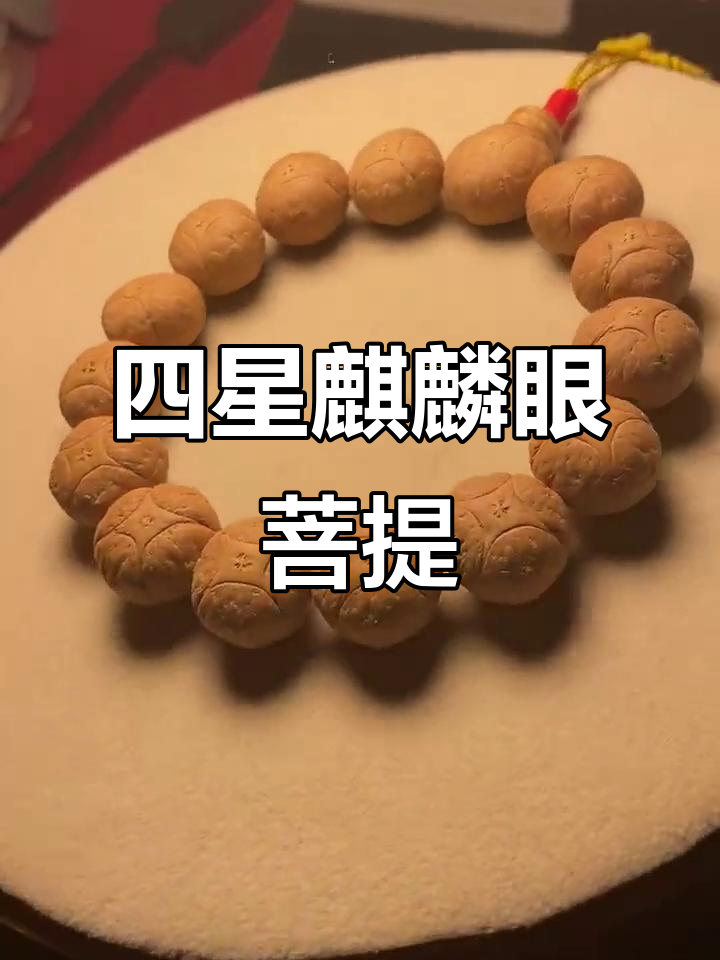 尼泊尔四星麒麟眼菩提,17.5mm大眼睛完美呈现