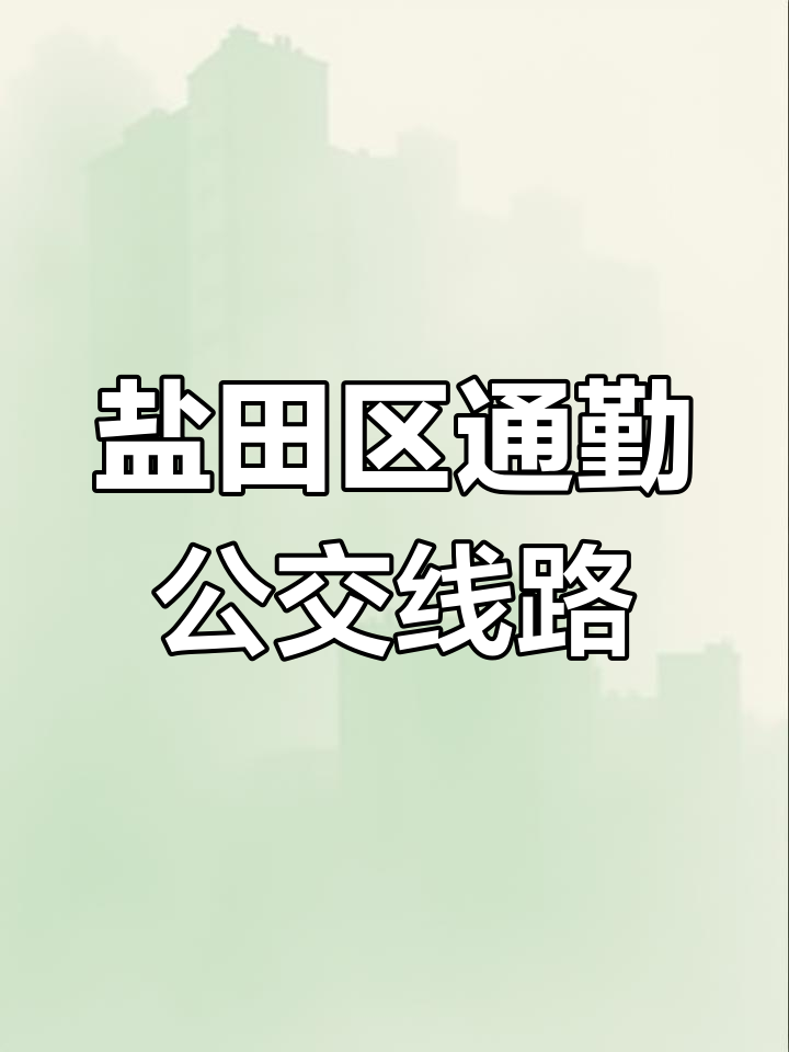 深圳239路公交:沙头角至东部华侨城的通勤线
