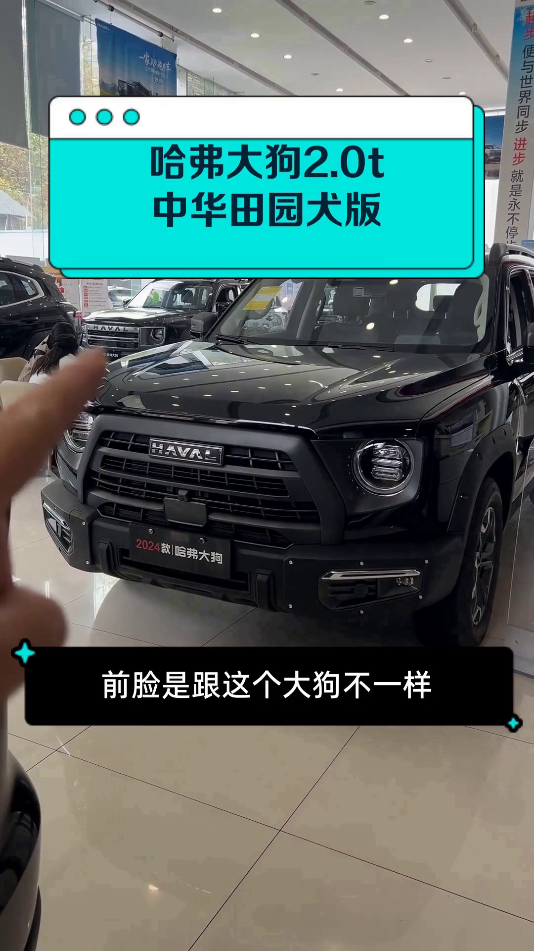 哈弗大狗2.0t中华田园犬版