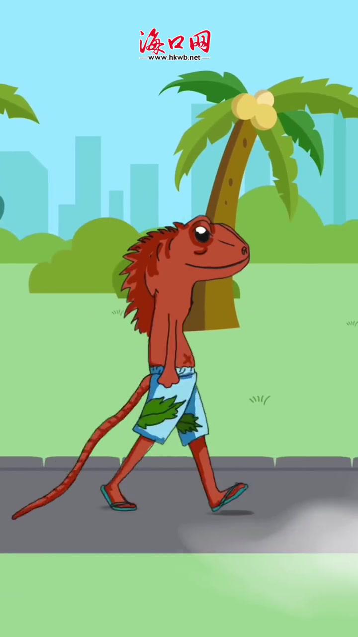 抱住!海南人限定"绿马" 海南雷公马 雷公马 海口