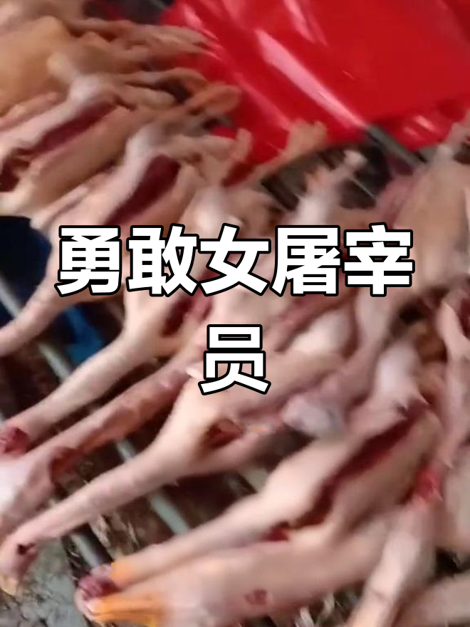 24岁女孩杀鸭毫不畏惧,手稳如山!