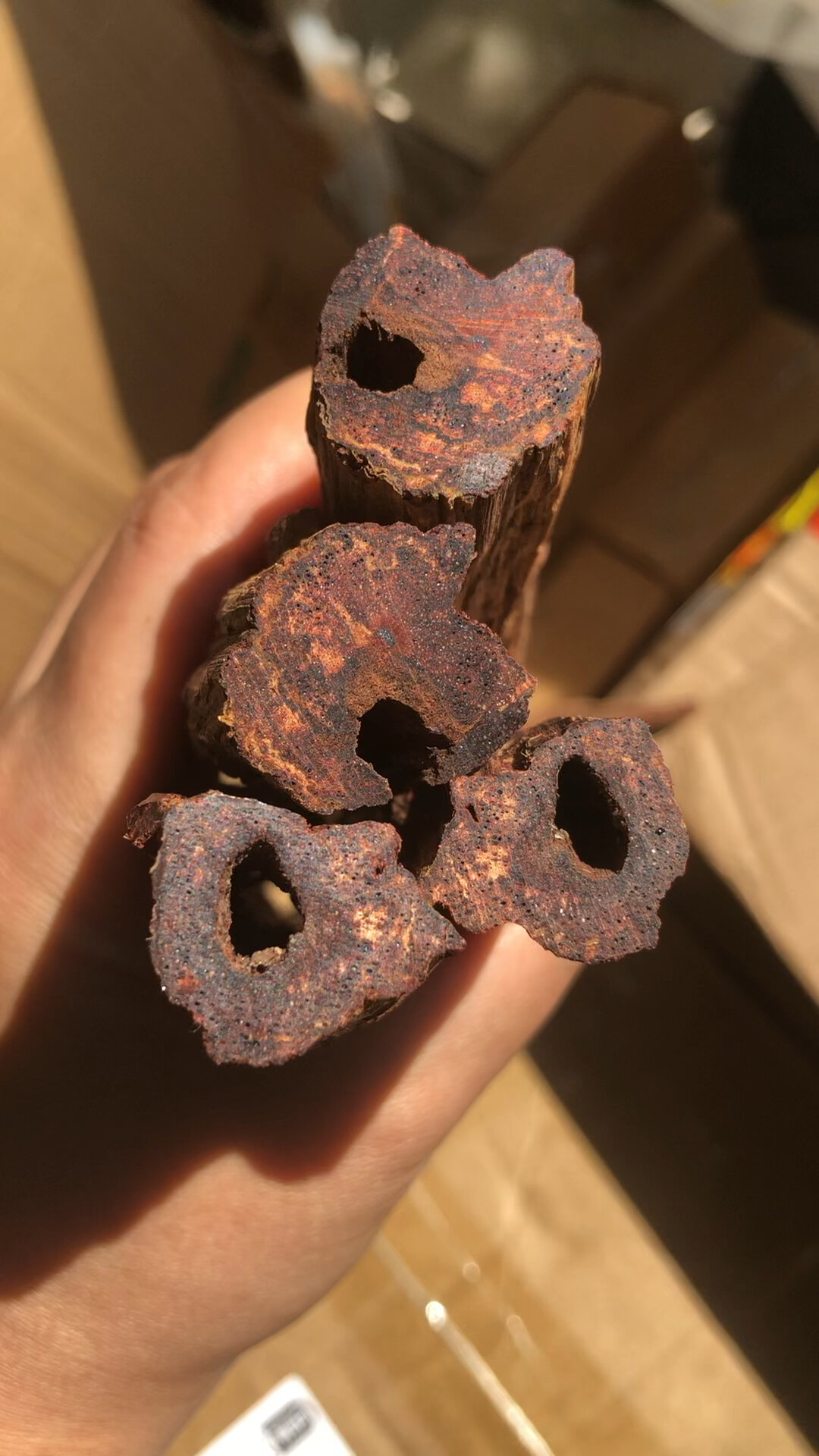 海南降真香夹层黄金甲