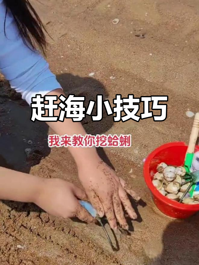 日照海边挖蛤蜊技巧大揭秘,轻松抓海螺!
