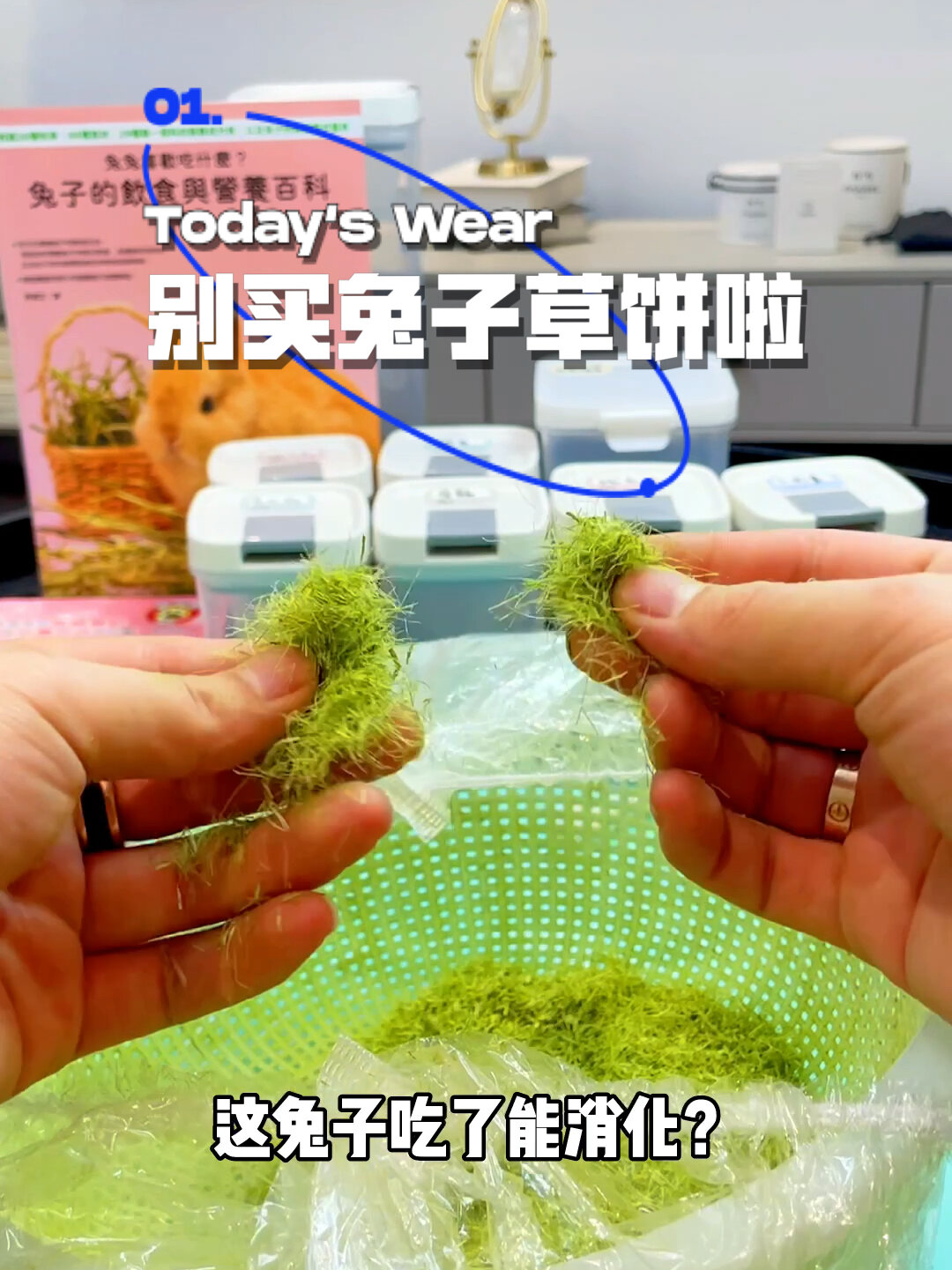 苜蓿草就应该这样吃