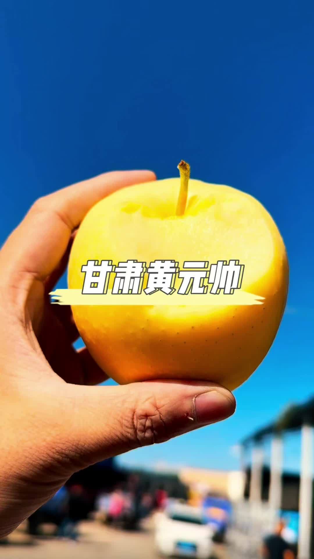 正宗甘肃黄元帅苹果,高山种植老品种,粉面香甜,特别适合老人和小孩吃