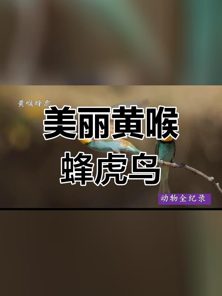 鸟的天敌图片