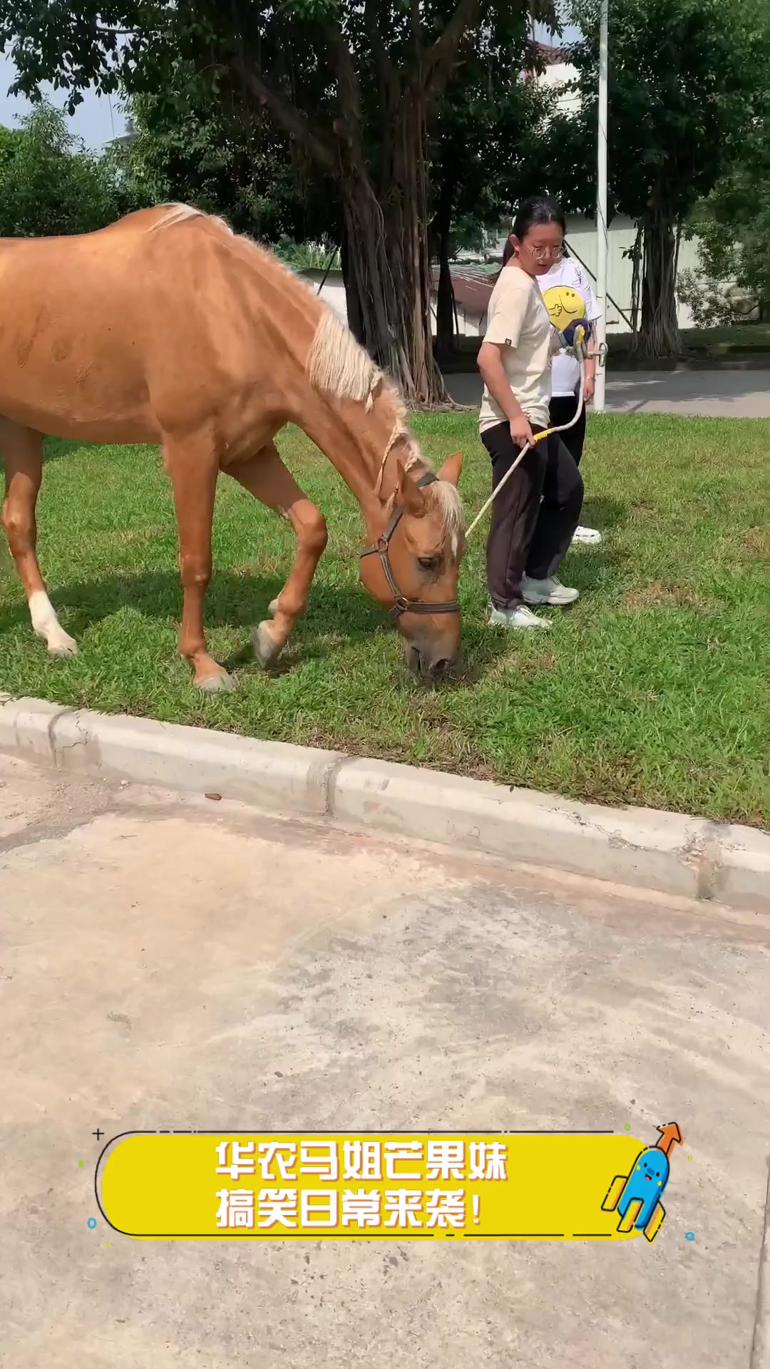 华农马姐芒果妹,搞笑日常来袭!