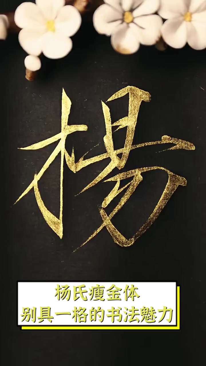 杨氏瘦金体,别具一格的书法魅力