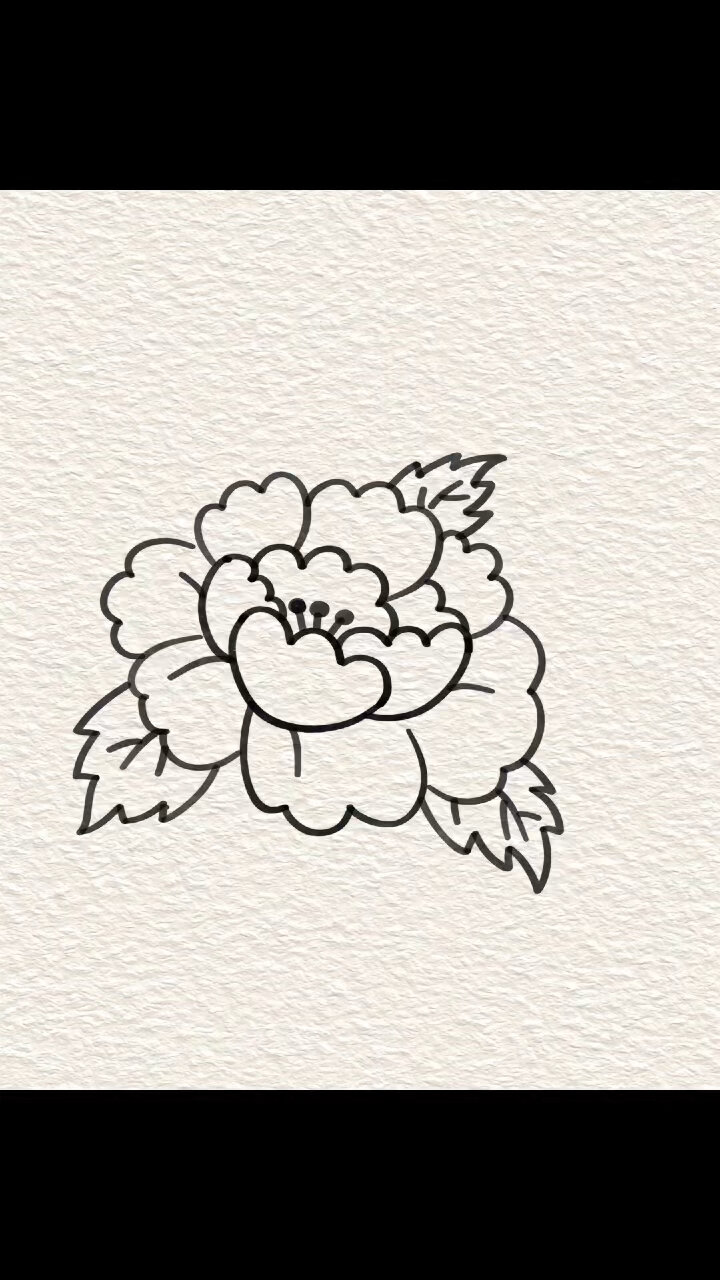 国庆简笔画牡丹