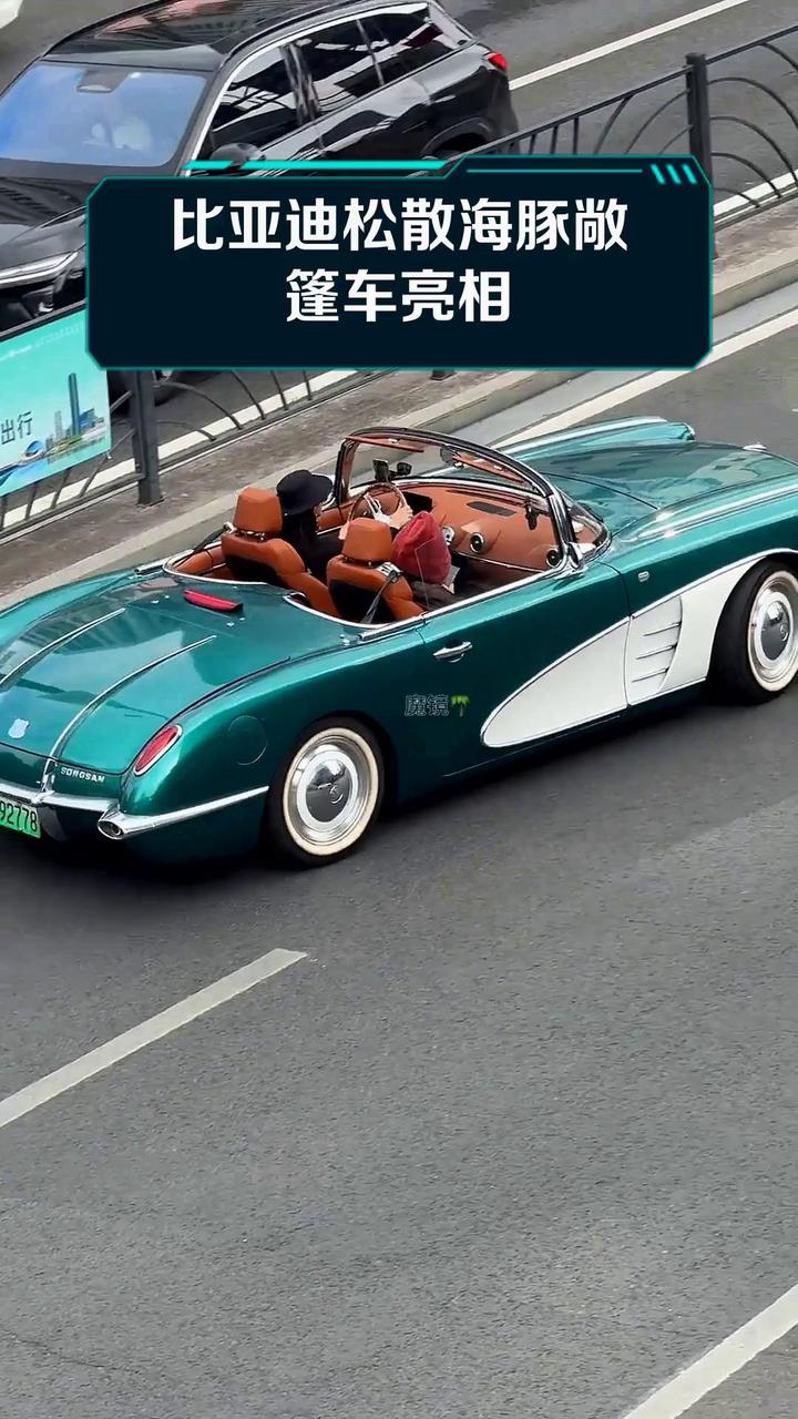 比亚迪松散海豚敞篷车亮相