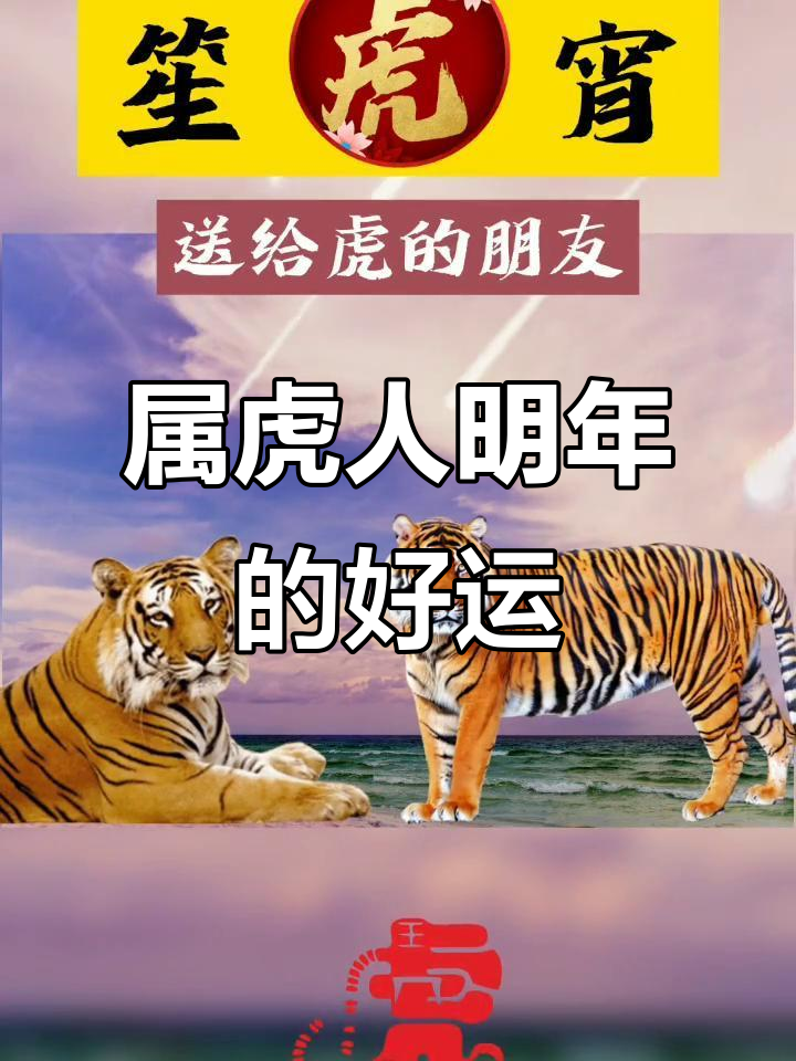 生肖虎一生感情运势(属虎情感)