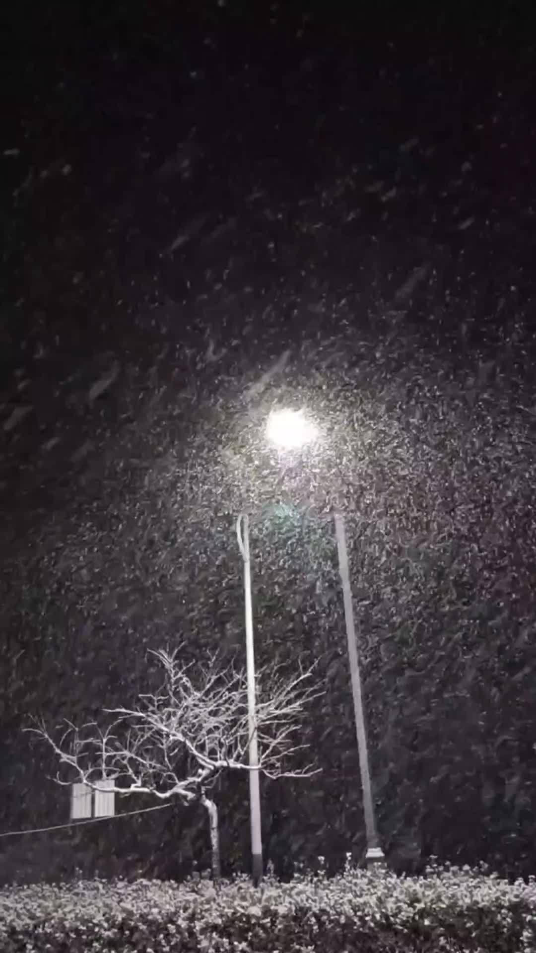 城市下雪夜景图片大全图片