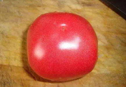 西红柿也分"公母"?母的沙甜又多汁,老菜农:认准这4点就ok