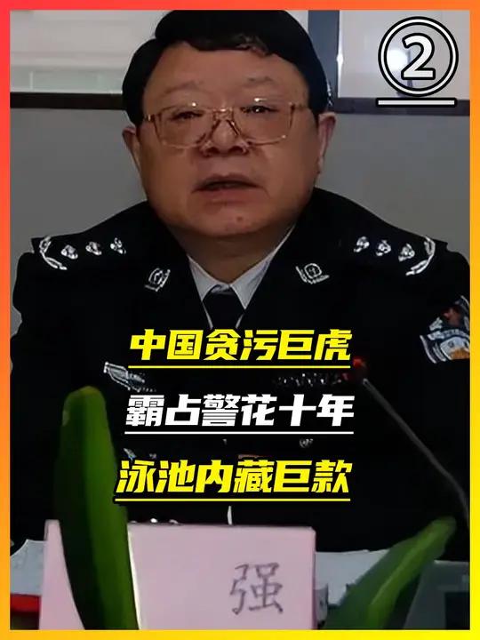 文强生命中的最后4小时,在看守所辗转难眠,泳池藏金2000万