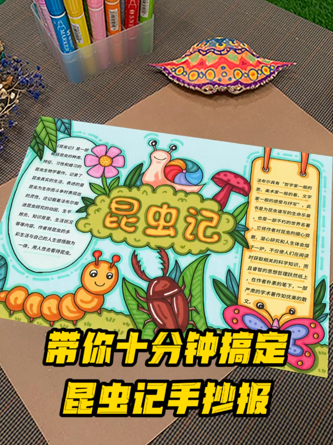 昆虫记手抄报