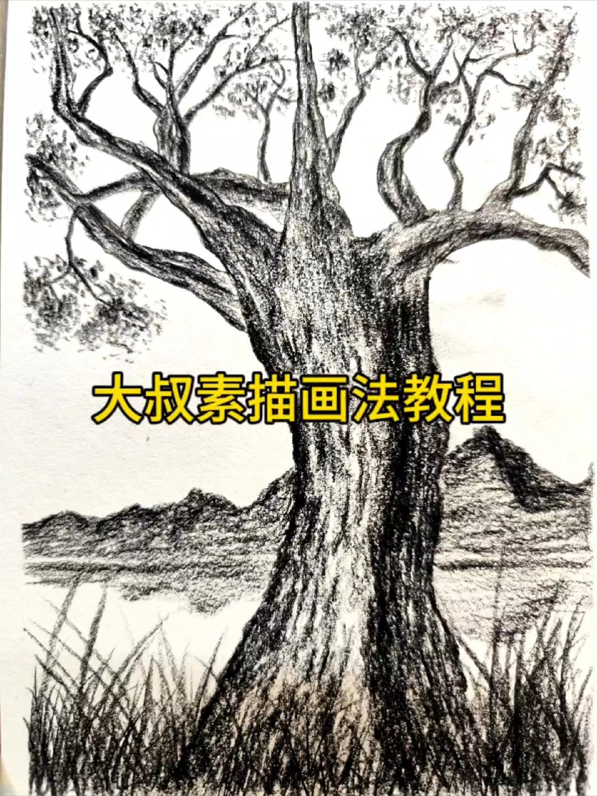 素描大树怎么画图片