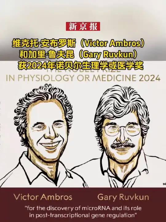 维克托·安布罗斯(victor ambros)和加里·鲁夫昆(gary ruvkun)获2024